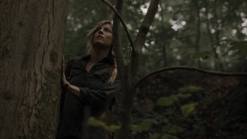 The Forest S01E01 1080p Netflix WEB DL DD+ 2.0 x264 TrollHD.mkv snapshot 26.36 [2018.11.03 20.00.45]
