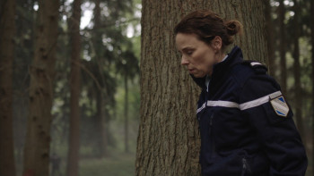 The Forest S01E01 1080p Netflix WEB DL DD+ 2.0 x264 TrollHD.mkv snapshot 32.02 [2018.11.03 20.00.53]