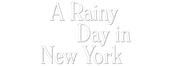a rainy day in new york 2