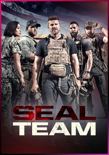 seal team 5