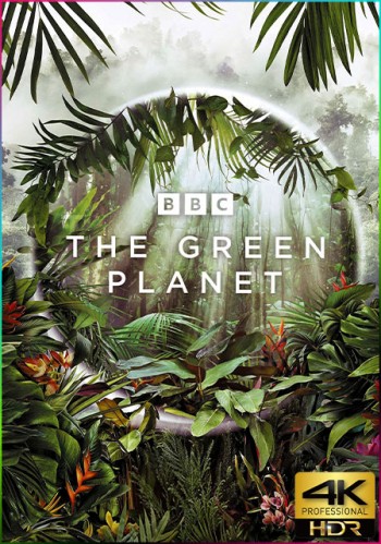 the green planet