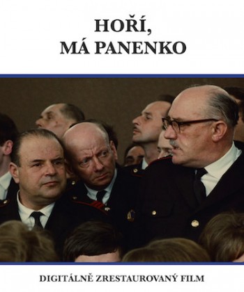 xenIQ.jpg