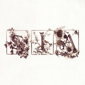 IpAs1.jpg