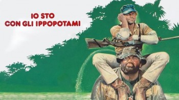 tQ6o0.jpg