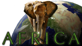 81zjR.png