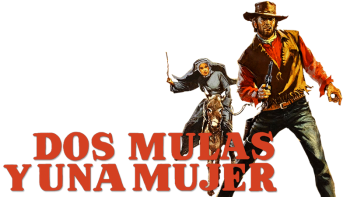 8s1cv.png