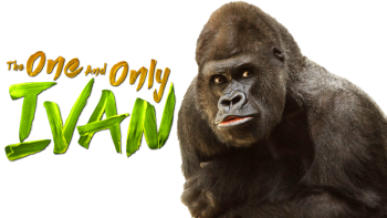 8HNNn.png